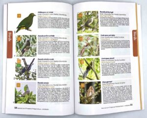 Biodiversity Management Bureau Philippine Red List Book #vjgraphicsprinting #growthroughprint #offsetprinting #digitalprinting