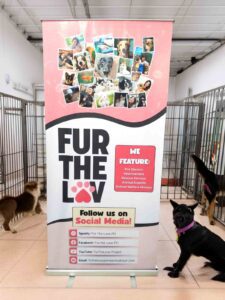 Fur The Love PH Pull-Up Tarpaulin @furtheloveph #vjgraphicsprinting #growthroughprint #ipublishph #PrintItYourWay #offsetprinting #digitalprinting #ecosolventprinting #largeformatprinting #tarpaulin www.vjgraphicarts.com